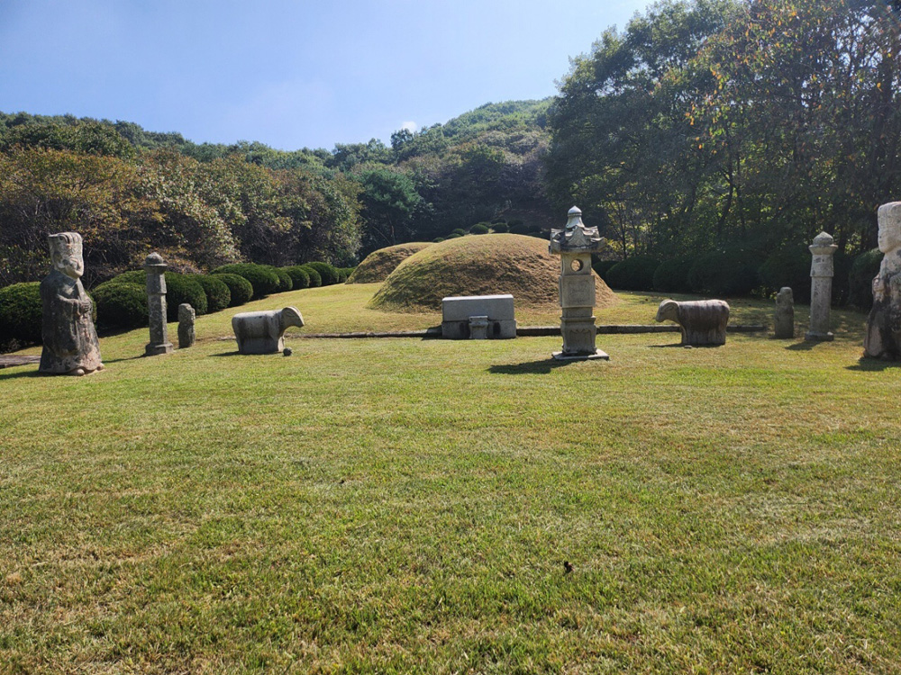 m01.jpg